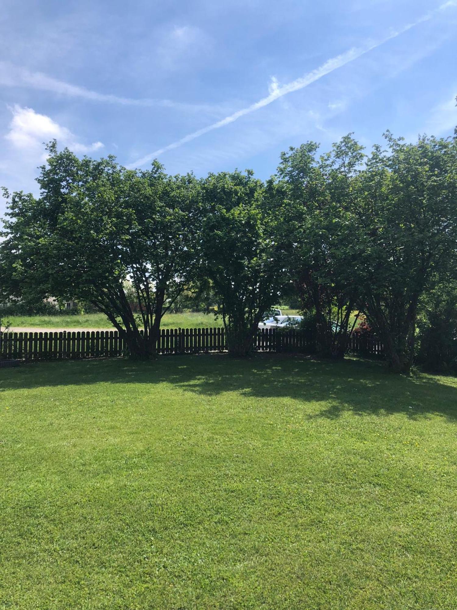 Gemuetliche Blockhuette Mit Grossem Garten Ried im Innkreis Exterior photo